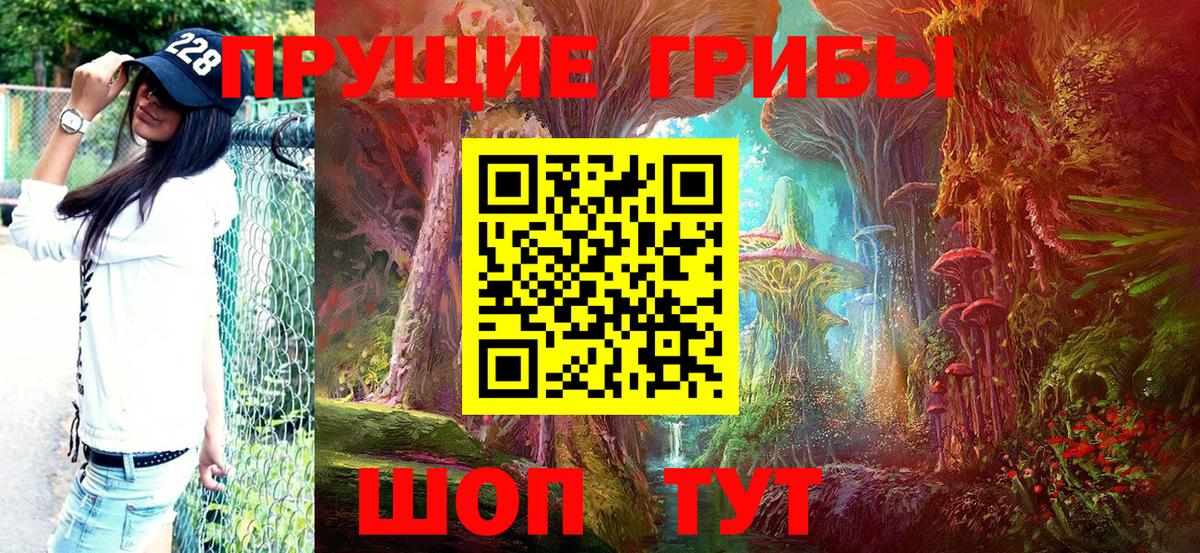 Галлюциногенные грибы Psilocybine cubensis Ростов-на-Дону