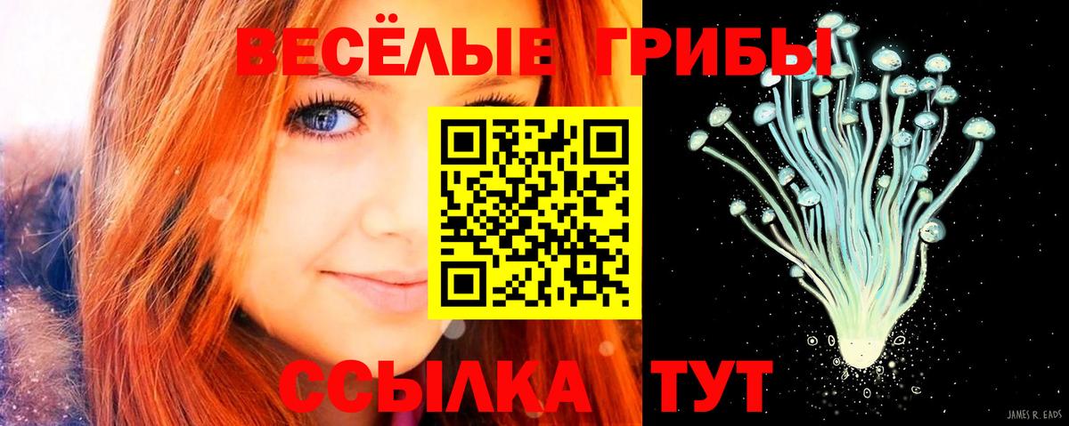 Ростов-на-Дону  Галлюциногенные грибы GOLDEN TEACHER  Вход с VPN 